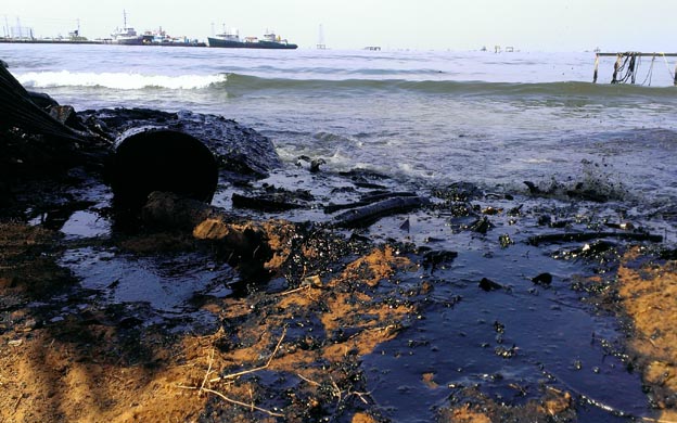 La llegada del crudo a las orillas del Lago en las u00faltimas semanas es cada vez mayor. (Foto: Jolitze Isea Garcu00eda)