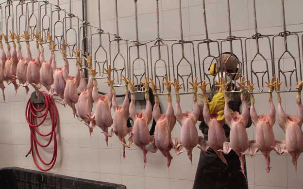 Imagen referencial (Foto: Archivo)