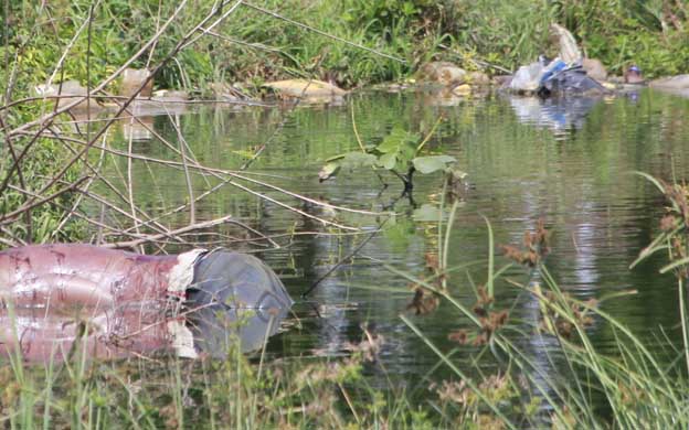 Imagen referencial (Foto: Archivo)