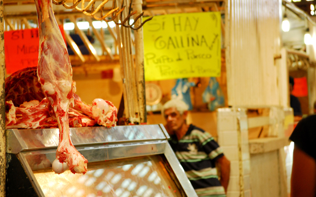 Ministerio de Agricultura asegura que hay 16 millones de cabezas en el rebau00f1o