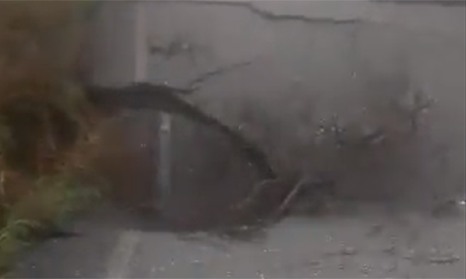 Foto: Twitter Madelyn Palmar