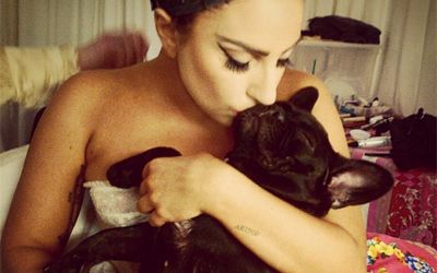 Lady Gaga sacará línea de ropa para perros