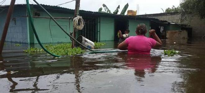 Ansa: “Inventario de productos para diciembre es menor al esperado”