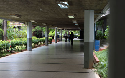 LUZ comienza paro de actividades hasta el jueves