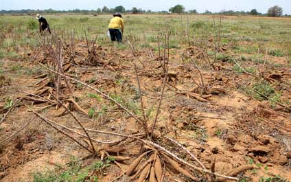 Subastan el balón de “La Mano de Dios” por 3 millones de euros