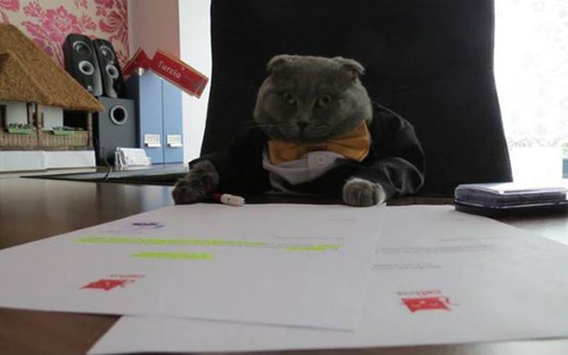 Capriles califica de “cruel” la decisión de deportar a venezolanos