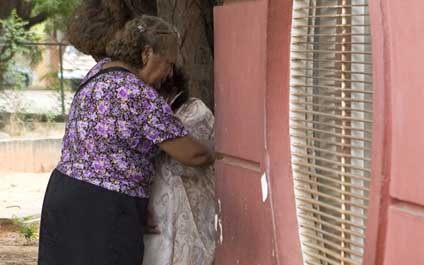 Muere niño tras caer de una mata de mangos