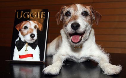 Muere Uggie, el famoso perro de “The Artist”