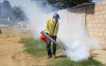 Alcaldía fumiga tres parroquias marabinas
