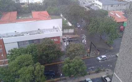 Lluvia y ventarrón tumban árboles en Maracaibo