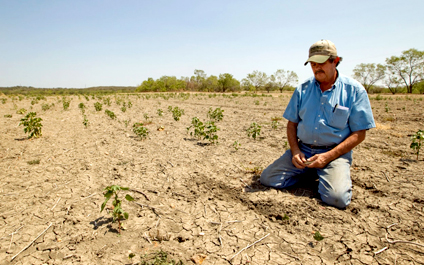 “El Niño” afectará la agricultura de 14 países