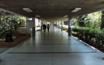 “Las universidades no entregarán su autonomía”