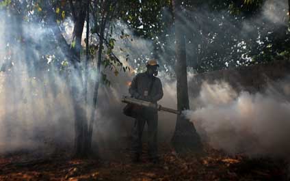 Alcaldía y Gobernación refuerzan planes de fumigación