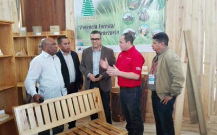 Maduro recibirá hoy propuestas del “Motor Forestal”