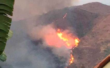 Bomberos controlan incendio en parque Henri Pittier