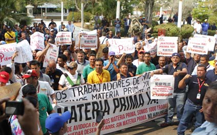 Se para la producción de 500 mil pollos semanales