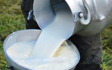 Producción de leche cruda desciende aceleradamente