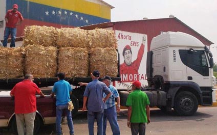Gobernación entrega alimento bovino a productores