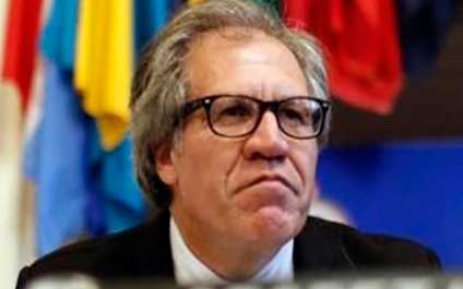 Almagro celebra que se active proceso para el revocatorio