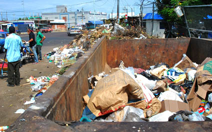 La basura adorna las calles de La Curva de Molina