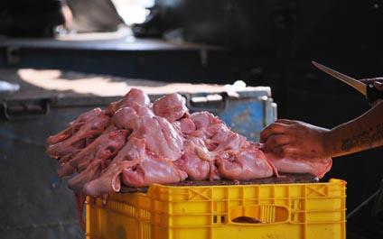 En los mercados populares de Maracaibo no se consigue pollo