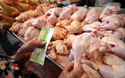 Sundde publica nuevos precios del pollo, harina y maíz