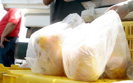 Ajustes de precios de harina y pollo se dan sin garantía de producción