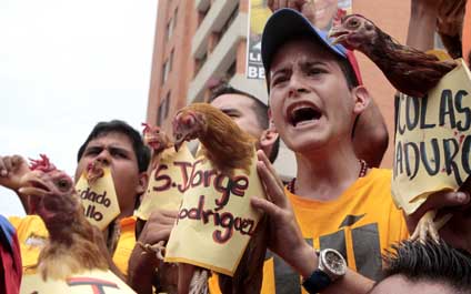 La protesta de las gallinas llega a tribunales en Maracaibo