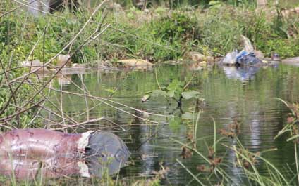 Lo retan a nadar más lejos y se ahoga