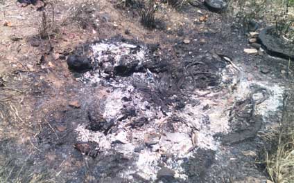 Hallan cuerpo desmembrado y carbonizado en un cerro