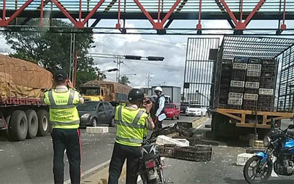Saquean camión de pollos vivos en Cabudare