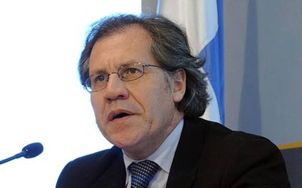 Movimientos sociales piden a OEA investigar a Almagro