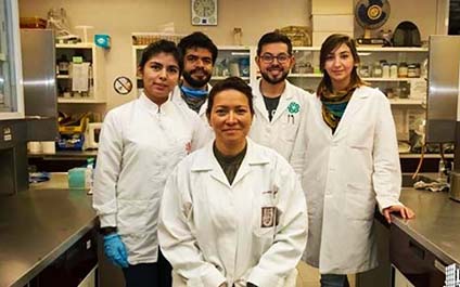 Hallan cura para eliminar virus de papiloma humano