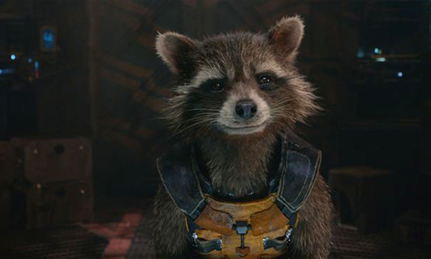 Muere Oreo, el mapache que inspiró a Rocket de Marvel