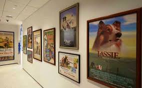 Abrirán Museo del Perro en Nueva York