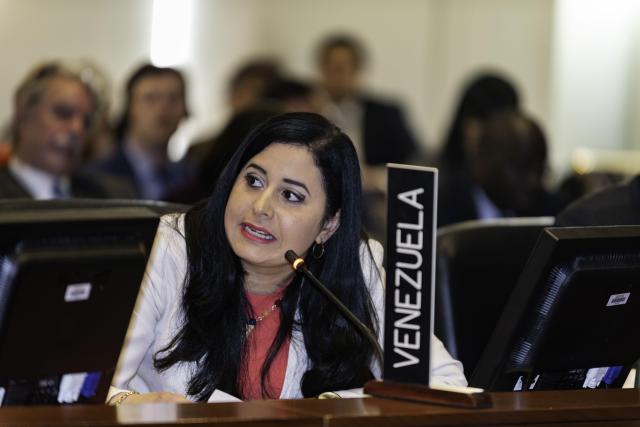 El “misterio” del cartel de Venezuela en la OEA