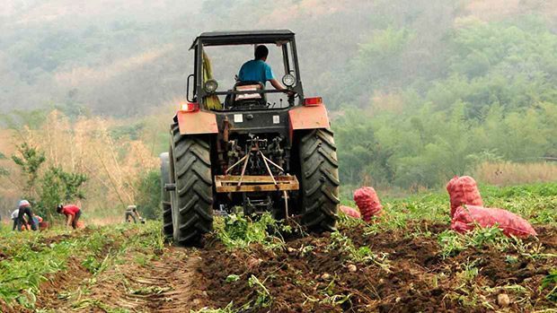 Se requiere $ mil 500 millones para reactivar la producción