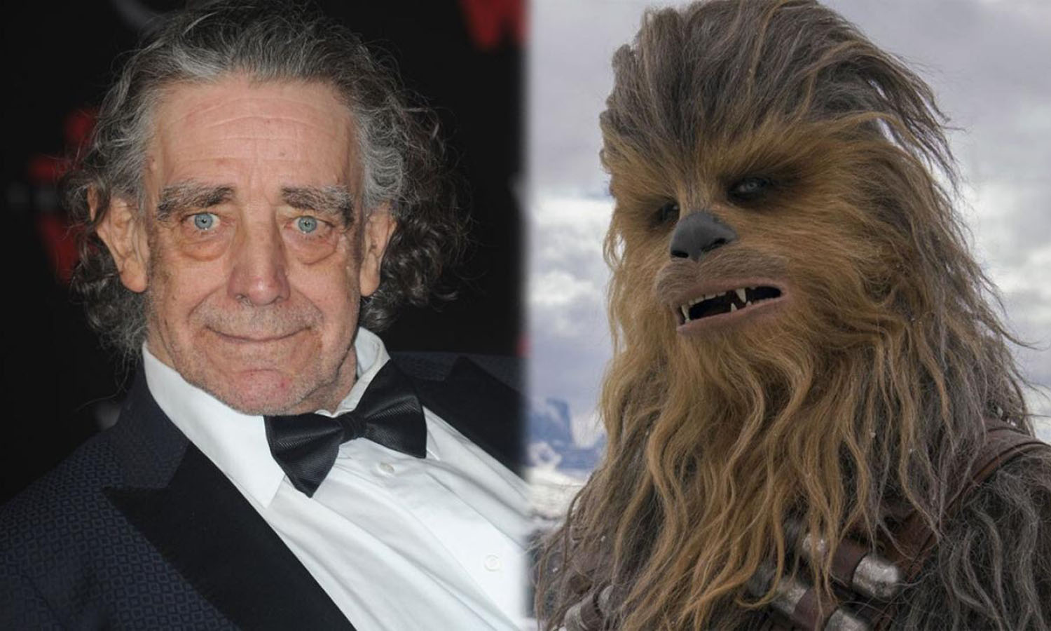 Fallece el intérprete de Chewbacca, Peter Mayhew