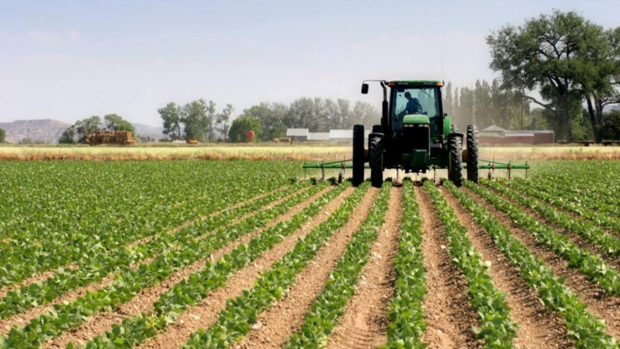 Fedeagro advierte que el sector agroalimentario está en caos