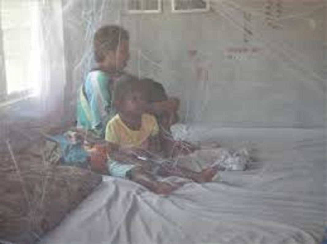 Cruz Roja distribuirá mosquiteros para frenar malaria
