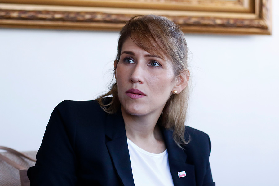 “Se deben flexibilizar requisitos de entrada a Chile”
