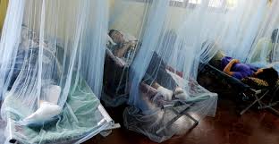 República Dominicana: 12 muertos y 8.074 casos por dengue