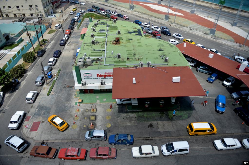 Cuba recurre a bueyes ante déficit de combustible