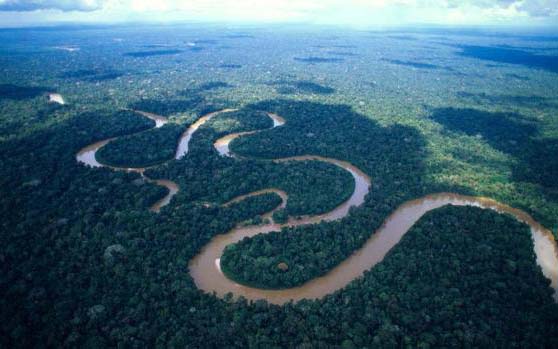 Piden a la UE no bajar aranceles a recursos naturales del Amazonas