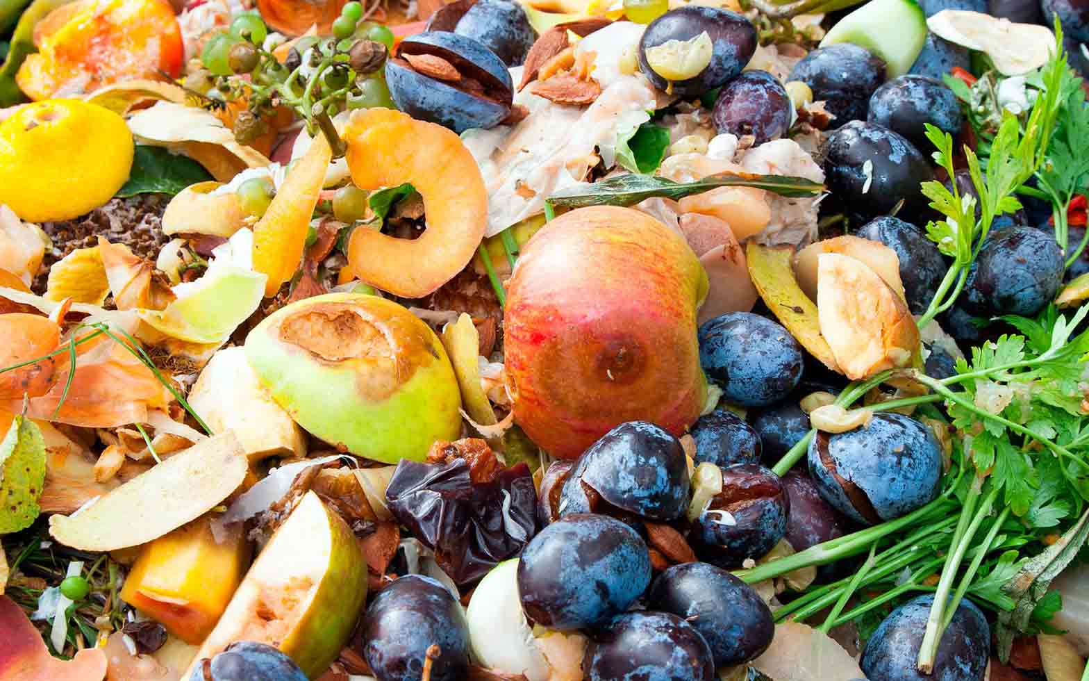 América tira millones de toneladas de alimentos mientras crece el hambre