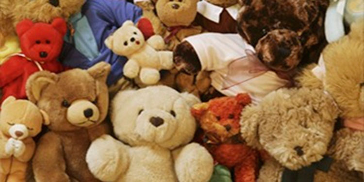 Osos de peluche desencadenan red de ayuda a migrantes