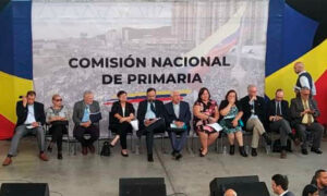 AN 2020 investiga procedencia de recursos para la elección primaria