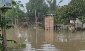 Desborde de ríos mantiene bajo el agua a sectores de Catatumbo y Colón