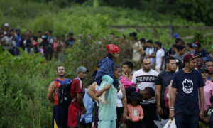 Alemania en alerta por muerte masiva de peces en el río Oder