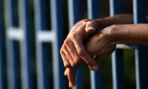 Hombre desnudo le corta la cola a una perra para abusar de ella
